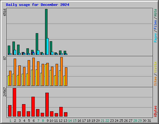 Daily usage for December 2024