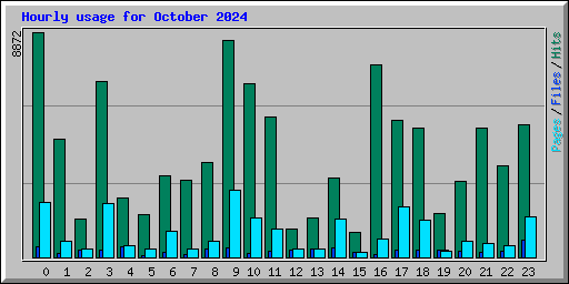 Hourly usage for October 2024