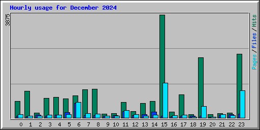 Hourly usage for December 2024
